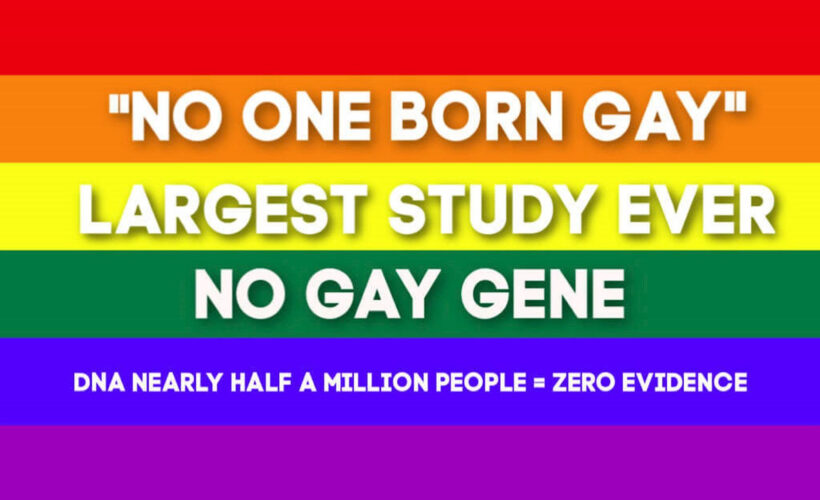 No one is born gay - no gay gene